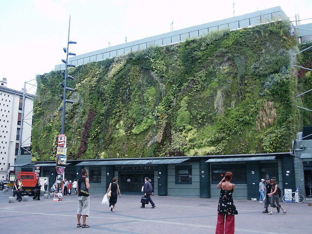 mur végétalisé avignon